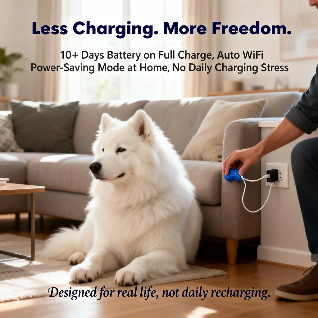 WANWAYTECH GPS Pet Tracker Real Time Tracking For Dogs Cats